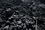 фото Длиннопламенный уголь фасованный в мешки