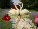 Фото №2 Топиарная фигура Лебедь (Размер №3)