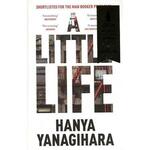 фото A Little Life. Yanagihara Hanya