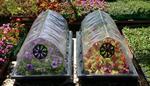 Фото №8 Сборные переносные минитеплицы ПДМ и арочные мини парники ПА для дачи, сада и огорода.