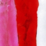 фото Меховые опушки Енот, окрашенного в однотонный цвет