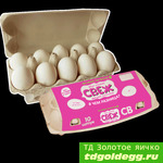 фото Продам яйцо куриное, перепелиное оптом от производителя