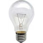 фото Лампы накаливания PRORAB Термоизлучатель ИК 230-150Вт Е27 А65