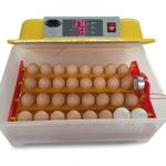фото Инкубатор на 32 яйца ECO-32 (с резервным питанием 12в)