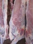 фото Мясо говядины 1кат