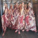 Фото №2 Оптовая торговля: мясом (свинина, говядина, баранина) охлажденное и замороженное, мясом птицы. Любые объемы. Доставка.