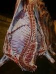 Фото №2 Продам говядину оптом, мясо говядины в полутушах, говядина 1 категории