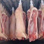 Фото №2 Мясо свинины охлажденное, замороженное