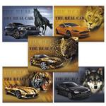 фото Альбом для рисования, 24 л., HATBER, спираль, обложка мелованный картон, 100 г/м2, "Real Car" ("Машины") (5 видов)
