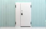 Фото №4 Двери распашные холодильные с накладной рамой РДО(ОН) свет. проем 800мм