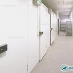 Фото №2 Двери распашные холодильные с накладной рамой РДО(ОН) свет. проем 800мм