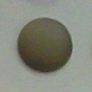 фото SANIT Декоративная крышка для сифона для поддона 821/50F, цвет бронза