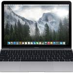 фото Apple Apple Macbook 12 Retina Intel Core M 1.1GHz/8GB/256GB flash/HD5300 Early 2015 Space Gray MJY32