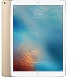 фото Apple Планшет Apple iPad Pro 12.9 256Gb Wi-Fi + Cellular Gold*
