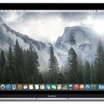 фото Apple Apple MacBook Early 2015 MF855 (Core M 1100 Mhz/12.0"/2304x1440/8.0Gb/256Gb SSD/DVD нет/Intel HD Graphics 5300/Wi-Fi/Bluetooth/MacOS X)