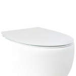 фото Крышка-сиденье для унитаза c микролифтом SoftClose AeT Dot 2.0 цвет белый C555R100