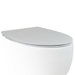 фото Крышка-сиденье для унитаза c микролифтом SoftClose AeT Dot 2.0 цвет белый матовый C555R101