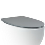 фото Крышка-сиденье для унитаза c микролифтом SoftClose AeT Dot 2.0 цвет серый матовый C555R116