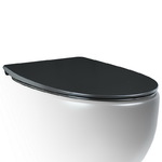 фото Крышка-сиденье для унитаза c микролифтом SoftClose AeT Dot 2.0 цвет черный матовый C555R105