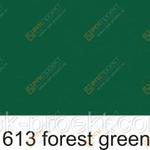 фото Пленка ORACAL 641 613 матовая зеленый лесной (1м)