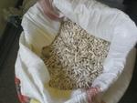 фото Оптом белые и полосатые семечки подсолнуха от поставщика