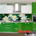 фото Кухня с крашеными фасадами RAL 2000 - 6038