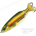 фото Блесна Northland Live-Forage® Casting Spoon (14, 21 или 28 гр) Вес 21 гр (3/4 oz) Расцветка... 24