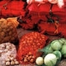 Фото №3 Сетка-мешок для упаковки овощей, фруктов от компании ООО Agrosetka74