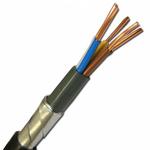 фото Силовой бронированный медный кабель ВБШвнг(А) 5х2.5 (N. PE) - 0.66 однопроволочный|7018 Конкорд