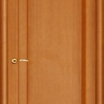 фото Ульяновская межкомнатная дверь Техно-1 светлый анегри глухая