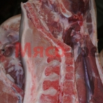 фото Мясо свинина оптом 1-й, 2-й категории