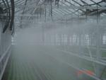 фото Системы туманообразования в теплицах.