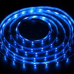 фото Светодиодная лента LC-5050-12BL30 IP33 синий