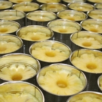 фото Маринованные ананасы кольца 580мл, 850мл, 3100мл