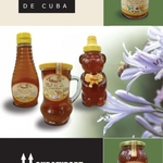 Фото №5 Кубинский мёд. Мёд из карибского бассейна с Острова Свободы-Куба