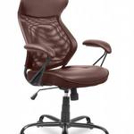 фото Кресло REALCHAIR COLLEGE HLC-370/Brown