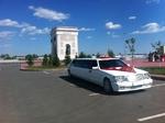 фото Лучшие в городе Астана Mercedes-Benz S-Class W221 Long, S65 AMG, S63 AMG, S600, S500 и S350.