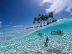 фото Туристическая компания Калипсо Плюс Алматы приглашает на Бали — «Остров богов»