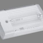 фото Аварийный светильник LUNA EFS 45 цоколь G5, 1х4Вт, IP22 | арт. 600000045 | Световые Технологии