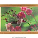 фото Картина колибри, стразы,55х35см