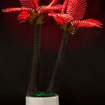 фото Две светодиодные пальмы P2-170x100