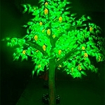 фото Светодиодное дерево Манго M3-280x220-952LED