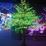 фото Светодиодное дерево Вишня CHER-310x280-3808LED