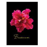 фото Блокнот 7БЦ, А6, 80 л., обложка ламинированная, клетка, STAFF, "Красный цветок на черном", 110х147 мм