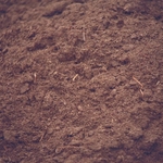 фото Плодородная почва