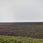 фото Грунт с полей Московской области