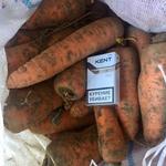 Фото №3 Картофель, свекла, морковь, лук, капуста