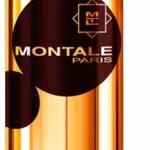 фото Montale Dark Aoud Montale Dark Aoud 20 ml