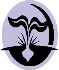 Лого Агроника