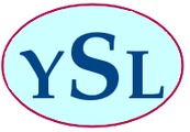 Лого ИнтернетАссоциация  YSL & Partners